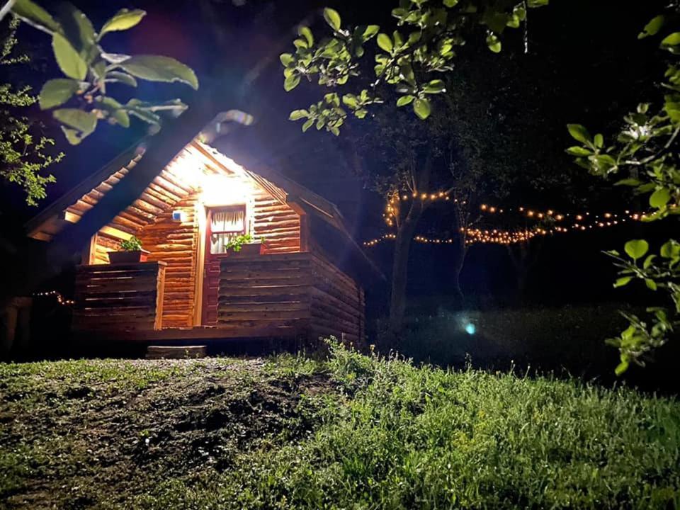 La 3 Stejari, Calimanesti Hotel Salatrucel Bagian luar foto