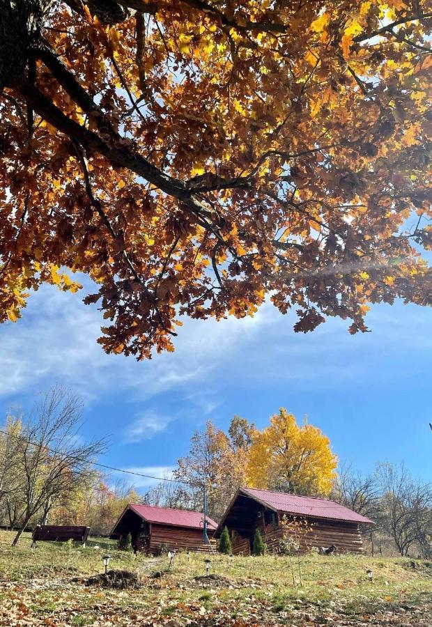 La 3 Stejari, Calimanesti Hotel Salatrucel Bagian luar foto