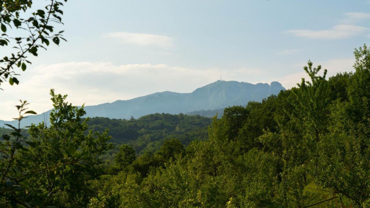 La 3 Stejari, Calimanesti Hotel Salatrucel Bagian luar foto