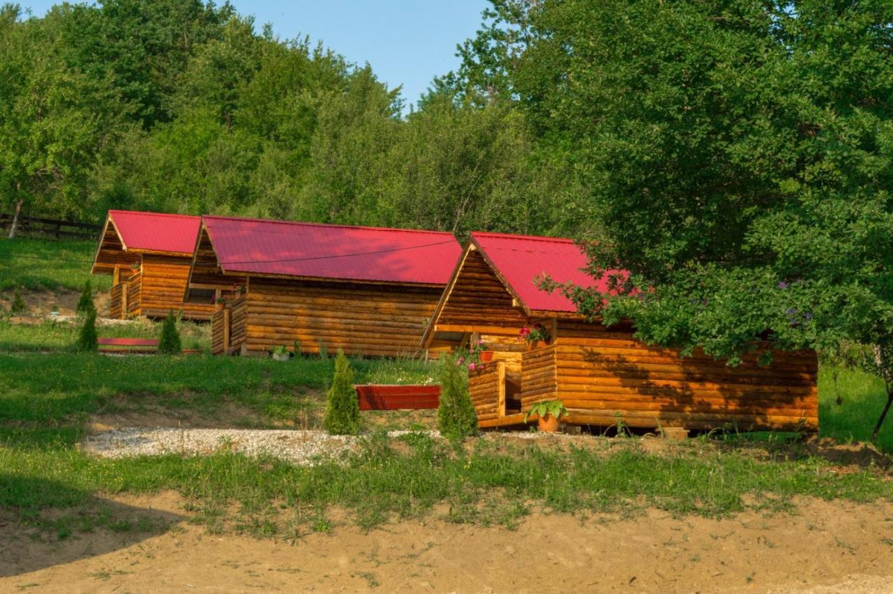La 3 Stejari, Calimanesti Hotel Salatrucel Bagian luar foto