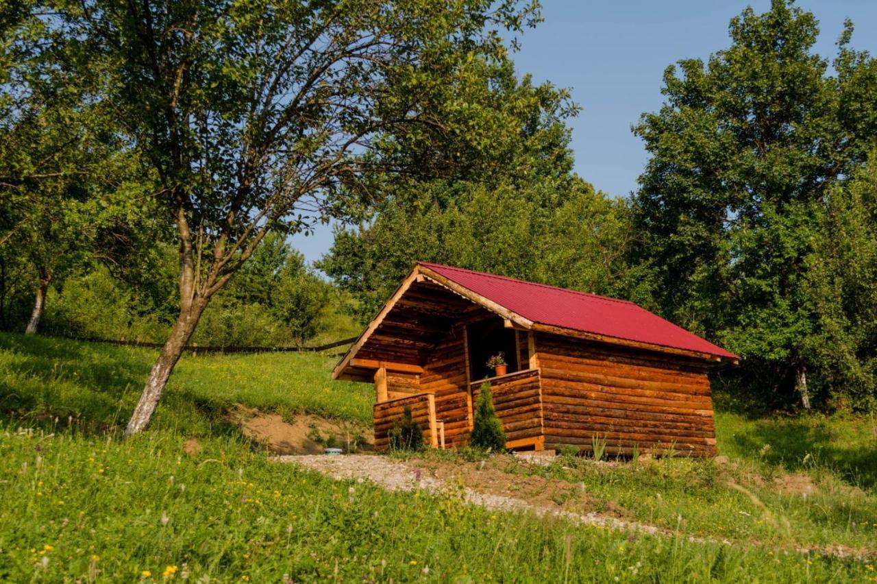 La 3 Stejari, Calimanesti Hotel Salatrucel Bagian luar foto