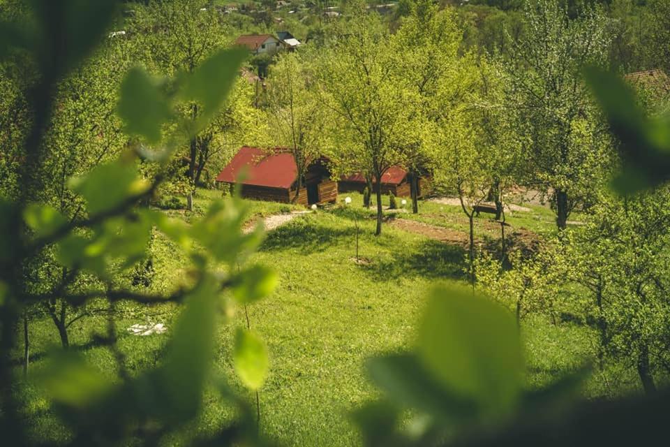 La 3 Stejari, Calimanesti Hotel Salatrucel Bagian luar foto