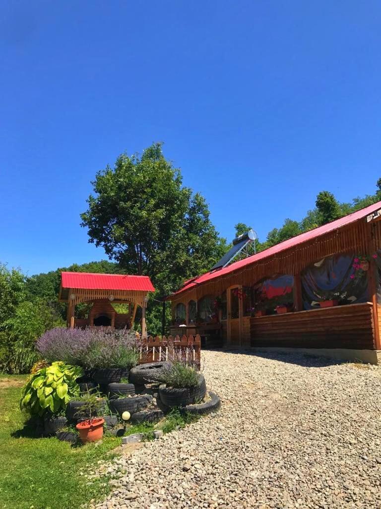 La 3 Stejari, Calimanesti Hotel Salatrucel Bagian luar foto