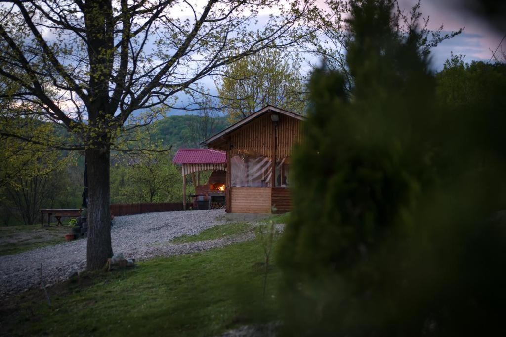 La 3 Stejari, Calimanesti Hotel Salatrucel Bagian luar foto