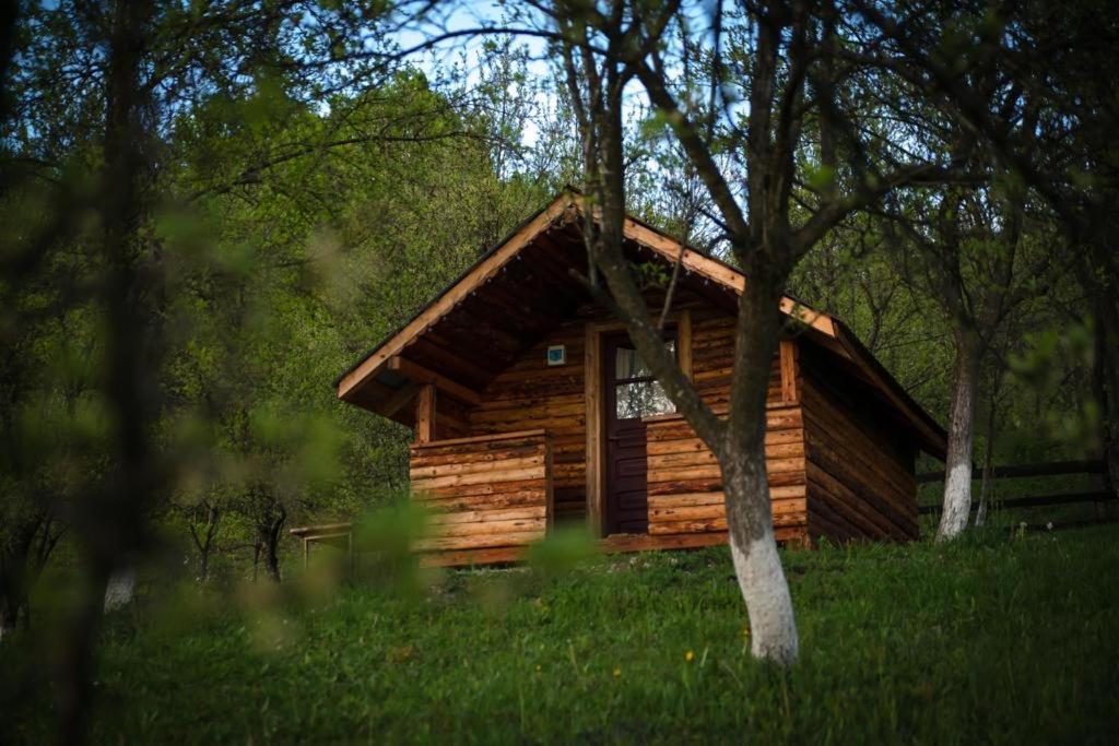 La 3 Stejari, Calimanesti Hotel Salatrucel Bagian luar foto