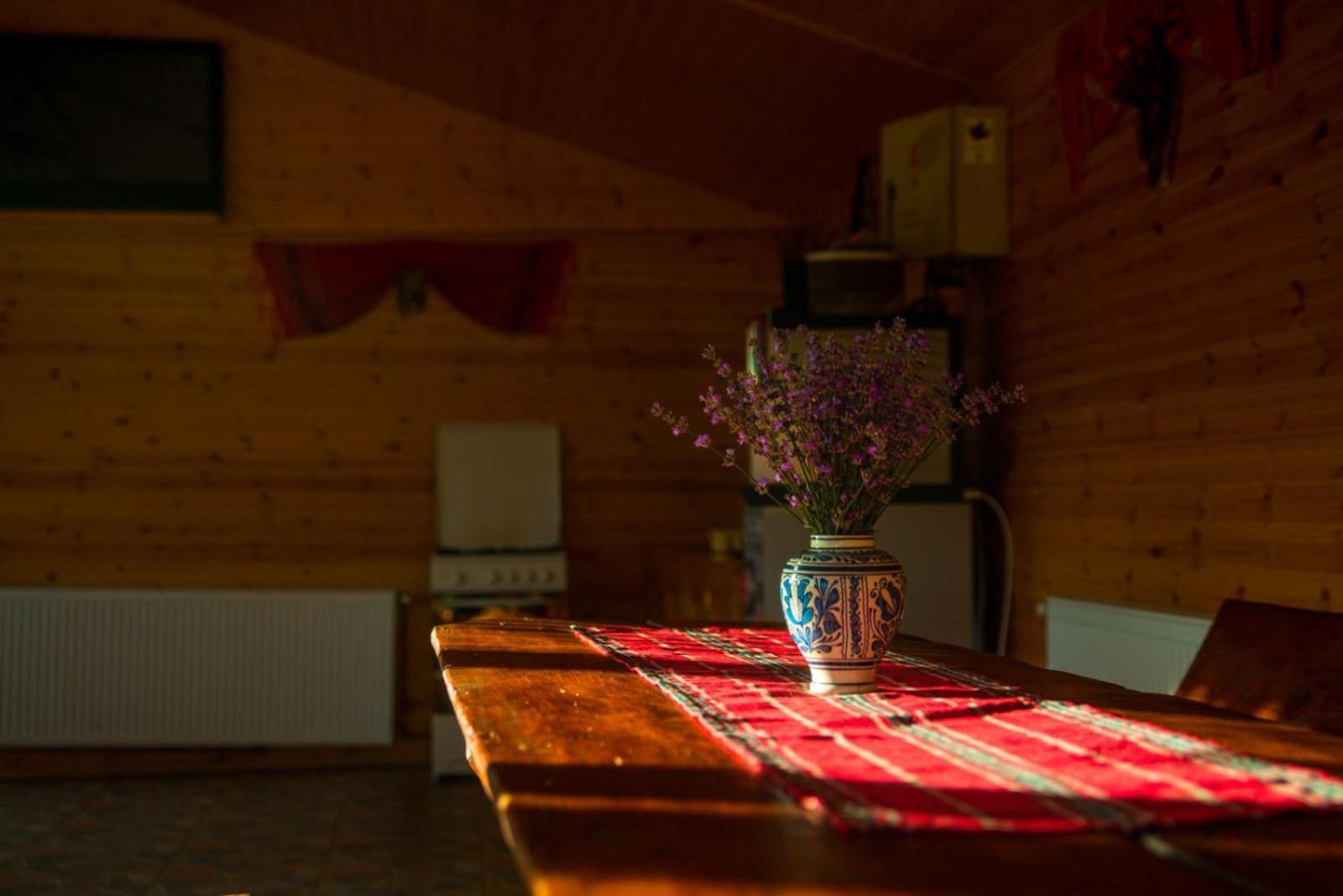 La 3 Stejari, Calimanesti Hotel Salatrucel Bagian luar foto