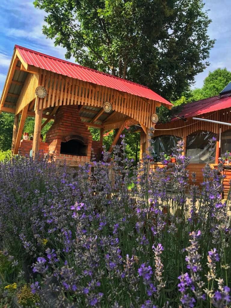 La 3 Stejari, Calimanesti Hotel Salatrucel Bagian luar foto